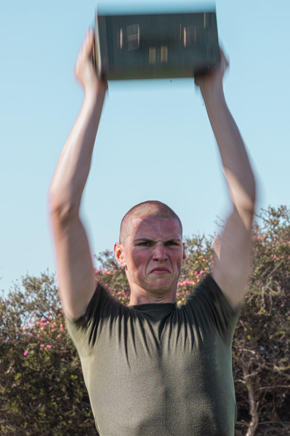 Hotel Company Introduction to the CFT