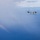 KAMANDAG 9: VMM-364 Inserts Marines into Basco Island, Philippines