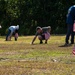 Camp Blaz Marines assist with flag placement for Memorial Day