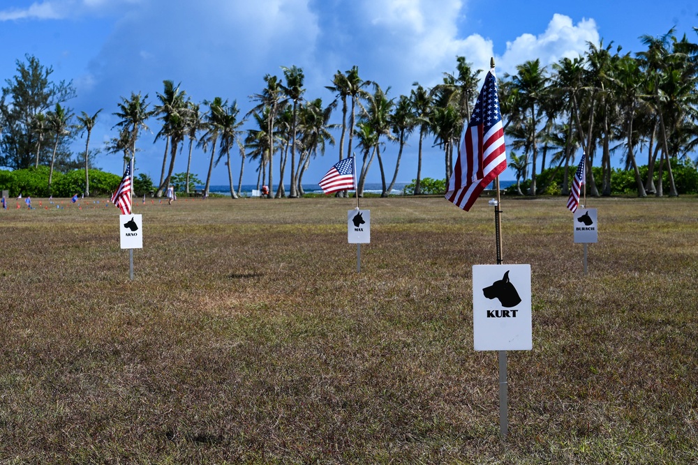 Military and civillian volunteers plant 3,050 flags for Memorial Day weekend