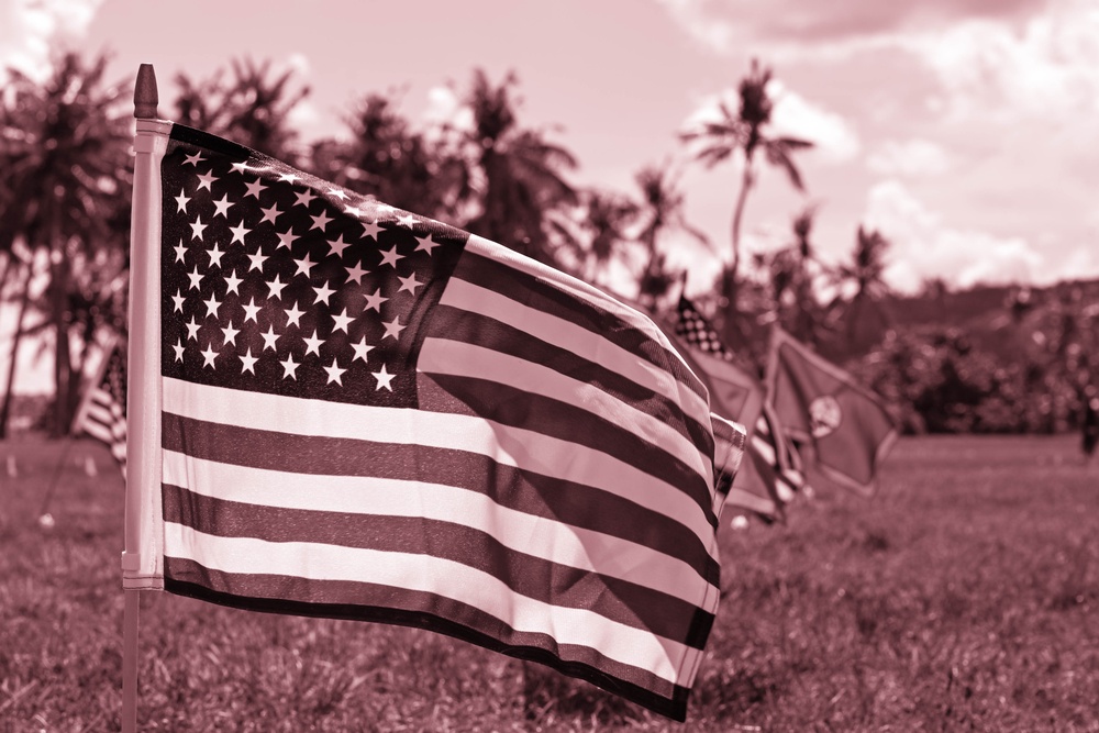 Military and civillian volunteers plant 3,050 flags for Memorial Day weekend