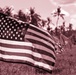 Military and civillian volunteers plant 3,050 flags for Memorial Day weekend