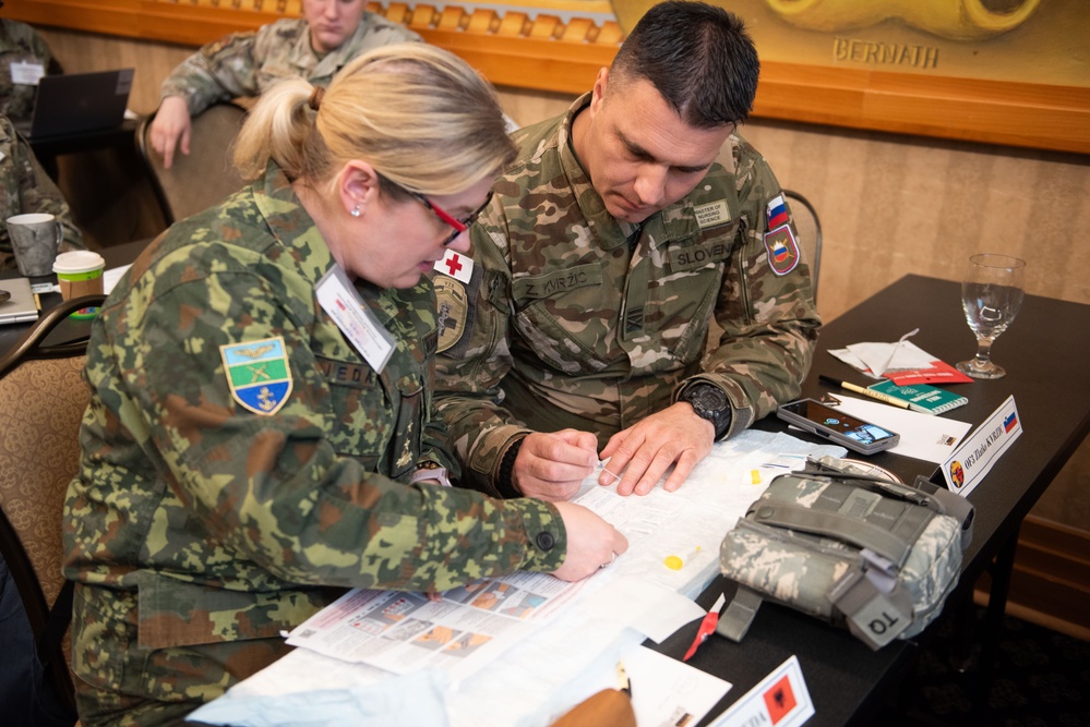 Military medical professionals come together for the European-African Military Nursing Exchange conference
