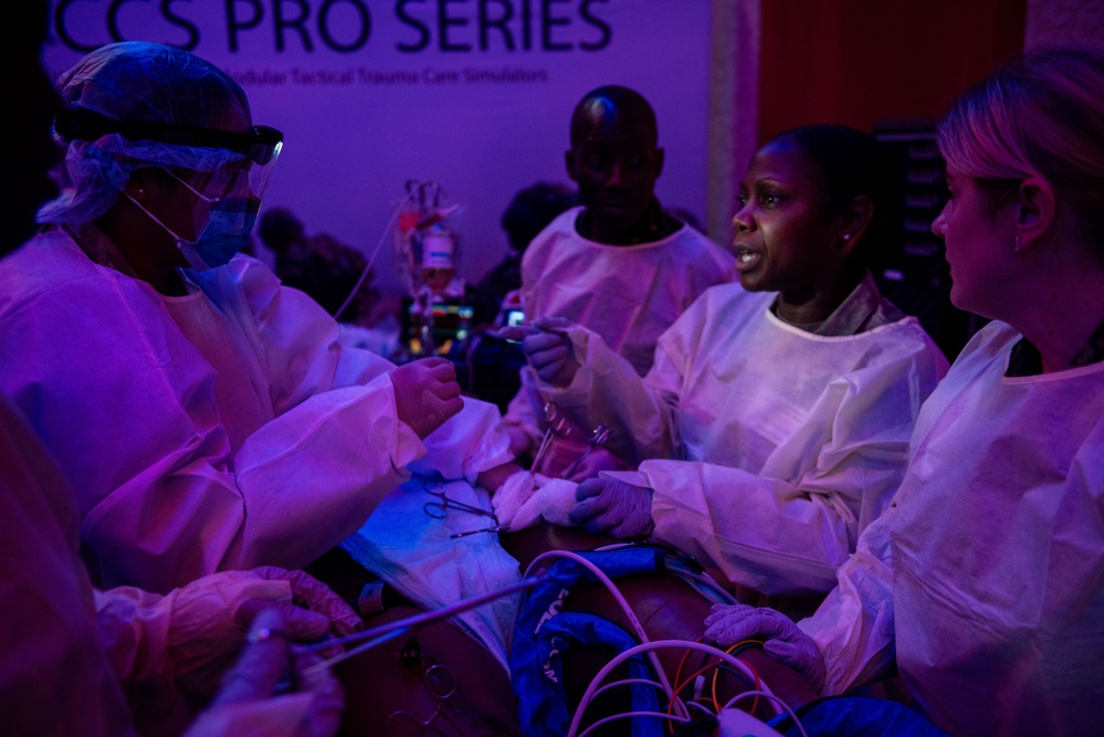Military medical professionals come together for the European-African Military Nursing Exchange conference