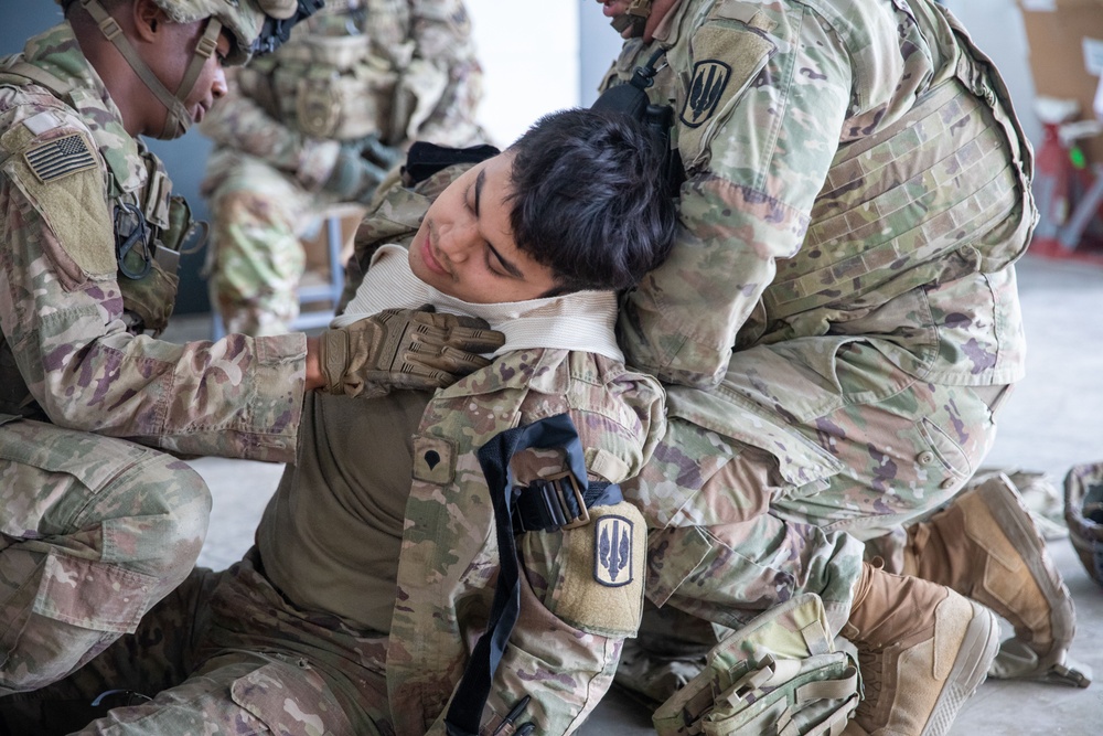 U.S. Soldiers Conduct Combat Lifesaver Course in Estonia