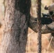 MRF-D 25.3: 2nd Bn., 1st Marines conducts live-fire squad attack range during Predator’s Walk