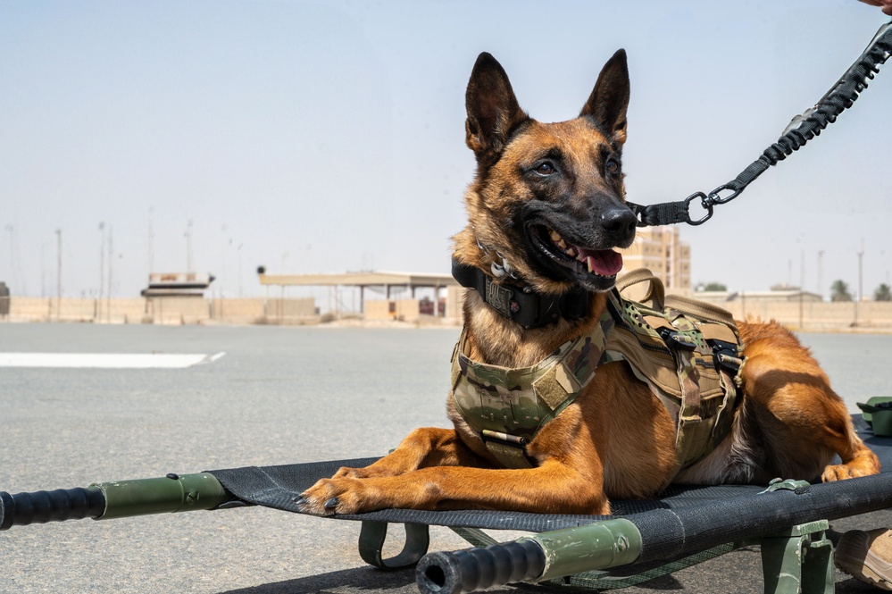 386th EAES conducts joint training with Coalition partners