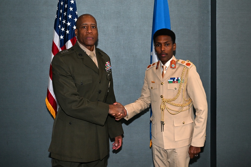 African Chiefs of Defense 2025