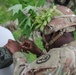 Fort Campbell DENTAC Reinforces Combat Readiness with Field Dental VALEX