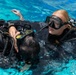 Swim, Float, Dive: 7th ESB EOD Dive Team begins SCUBA training