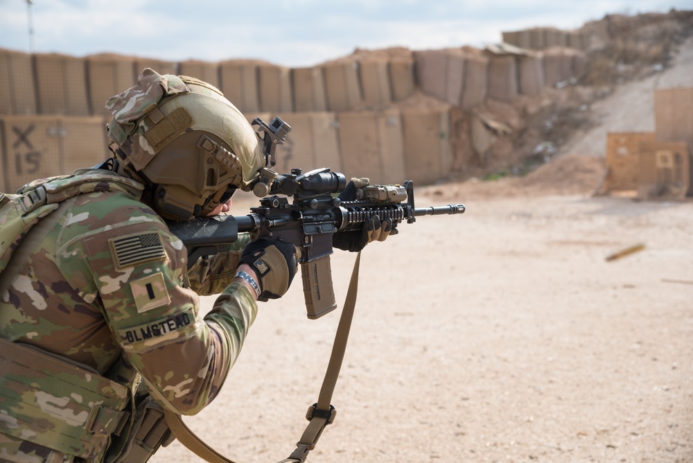 Coalition Forces Conduct Reflex Fire Range Operations