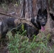 Combat survival training for Hawaiian Raptors