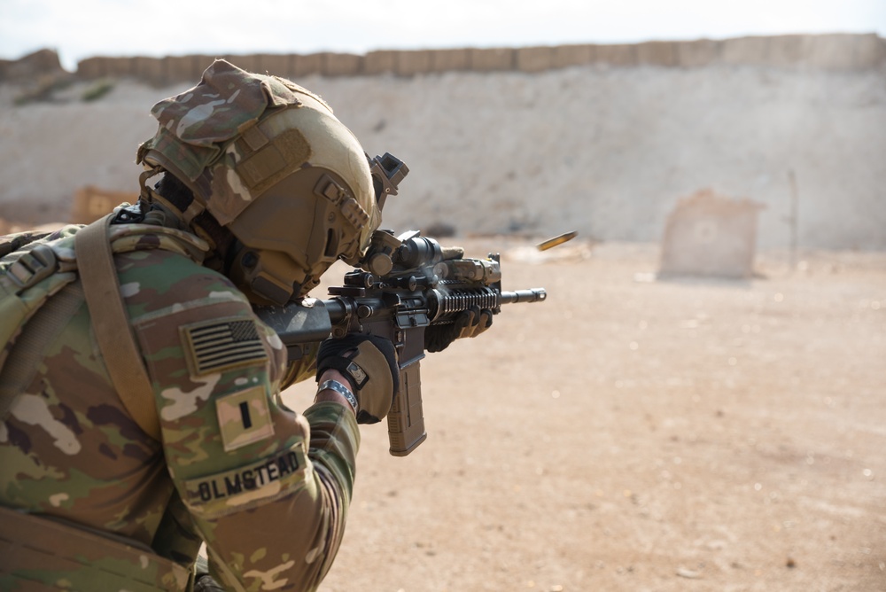 Coalition Forces Conduct Reflex Fire Range Operations