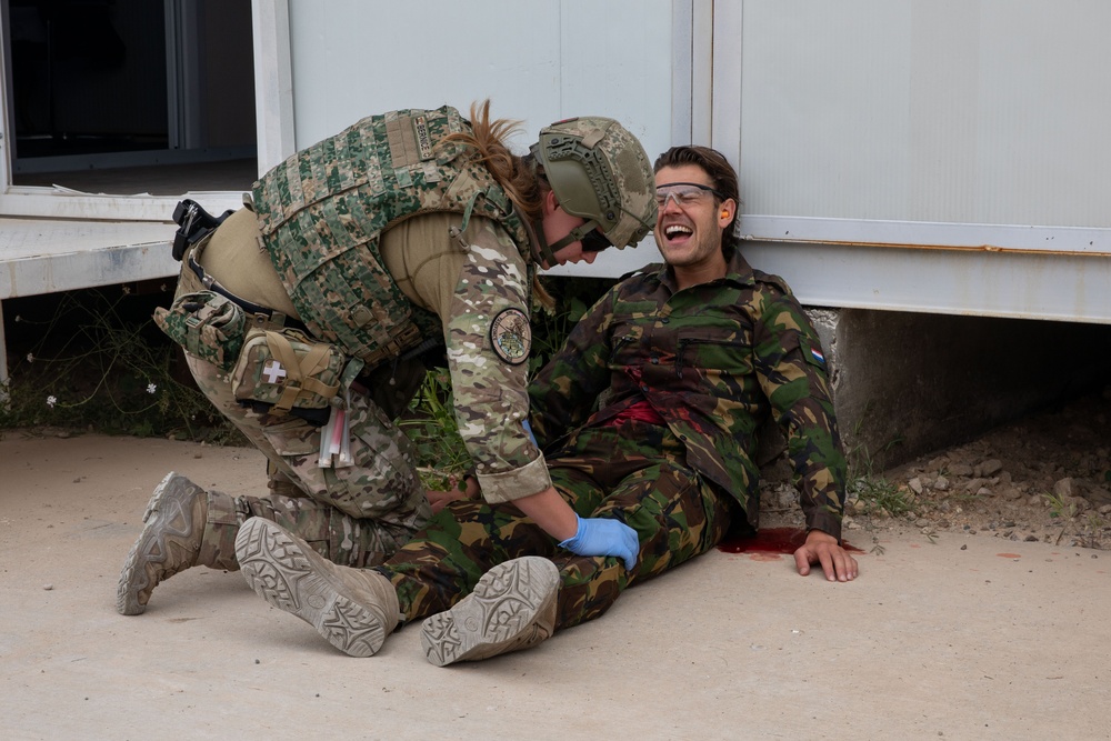 Task Force Lion and Odin Conduct MEDEVAC Exercise
