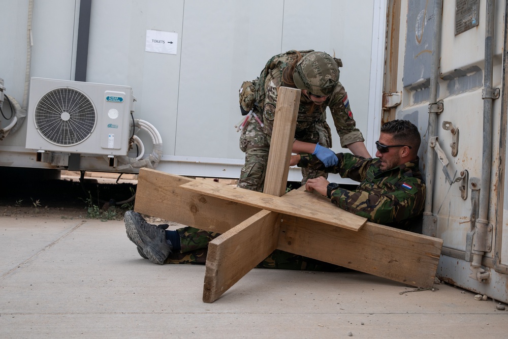 Task Force Lion and Odin Conduct MEDEVAC Exercise