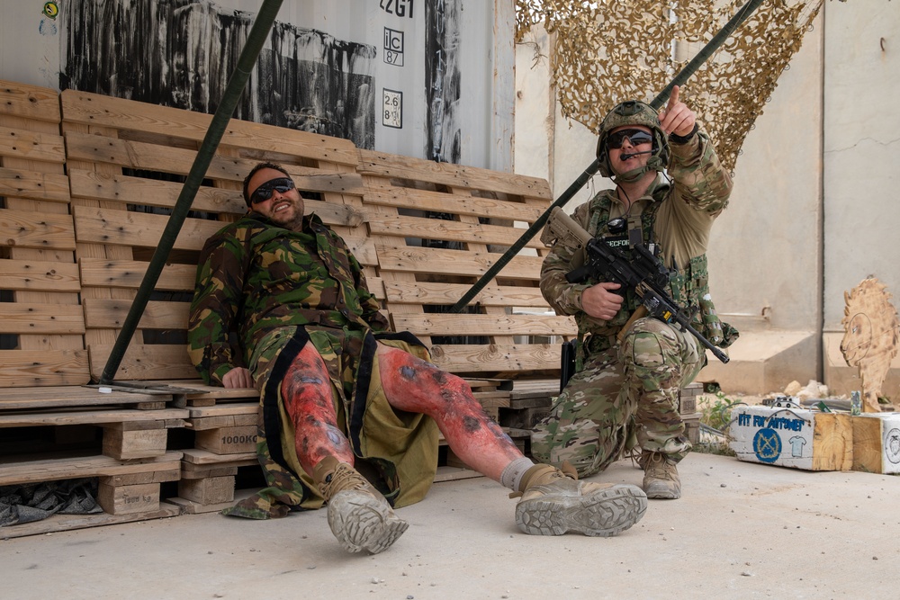 Task Force Lion and Odin Conduct MEDEVAC Exercise