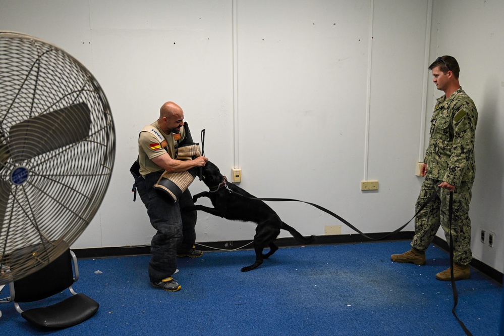 NAVSTA Rota conducts Military Working Dog excercise