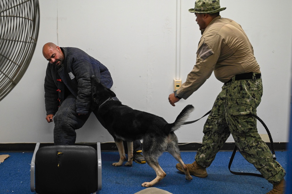 NAVSTA Rota conducts Military Working Dog excercise