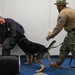 NAVSTA Rota conducts Military Working Dog excercise