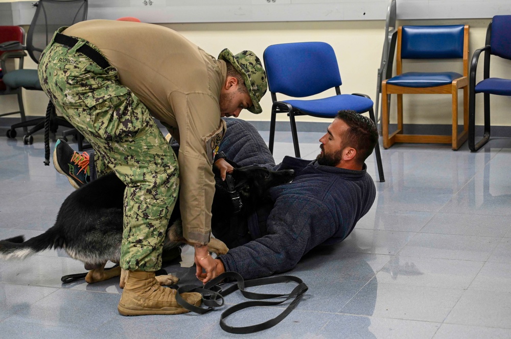 NAVSTA Rota conducts Military Working Dog excercise