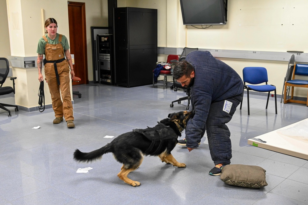 NAVSTA Rota conducts Military Working Dog excercise