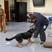 NAVSTA Rota conducts Military Working Dog excercise