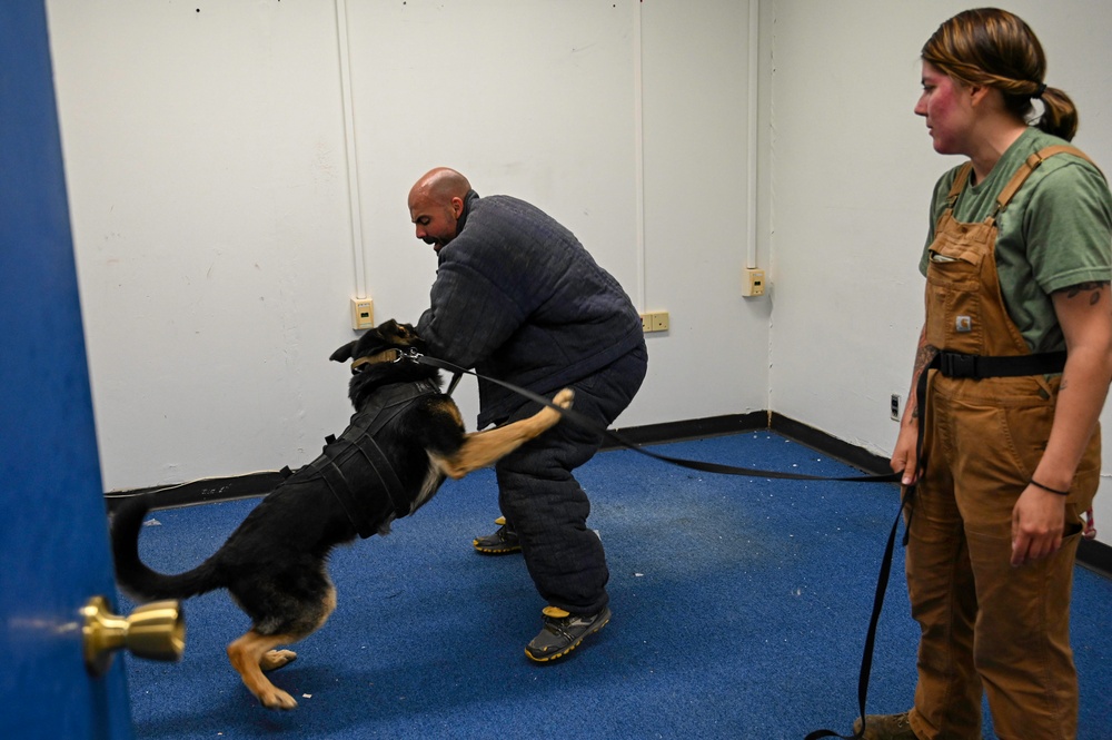 NAVSTA Rota conducts Military Working Dog excercise