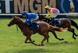 A USVF day at the Newmarket Racecourse