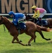 A USVF day at the Newmarket Racecourse