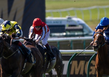 A USVF day at the Newmarket Racecourse