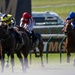 A USVF day at the Newmarket Racecourse