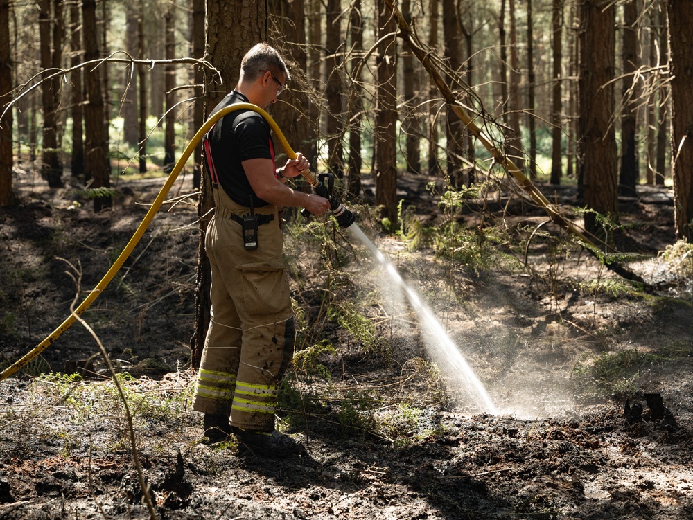 Forging the flame of friendship