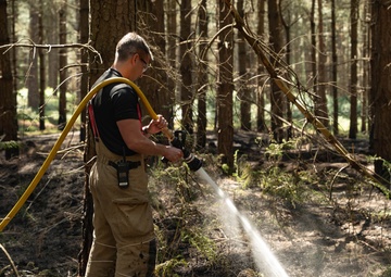 Forging the flame of friendship