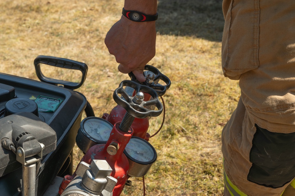 Forging the flame of friendship