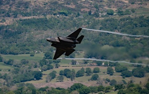 AFN Aviano Radio News: 31st Anniversary of 31 FW