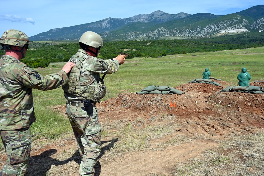 Immediate Response 25 - Petrochori, Greece