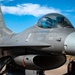 F-16 Portraits