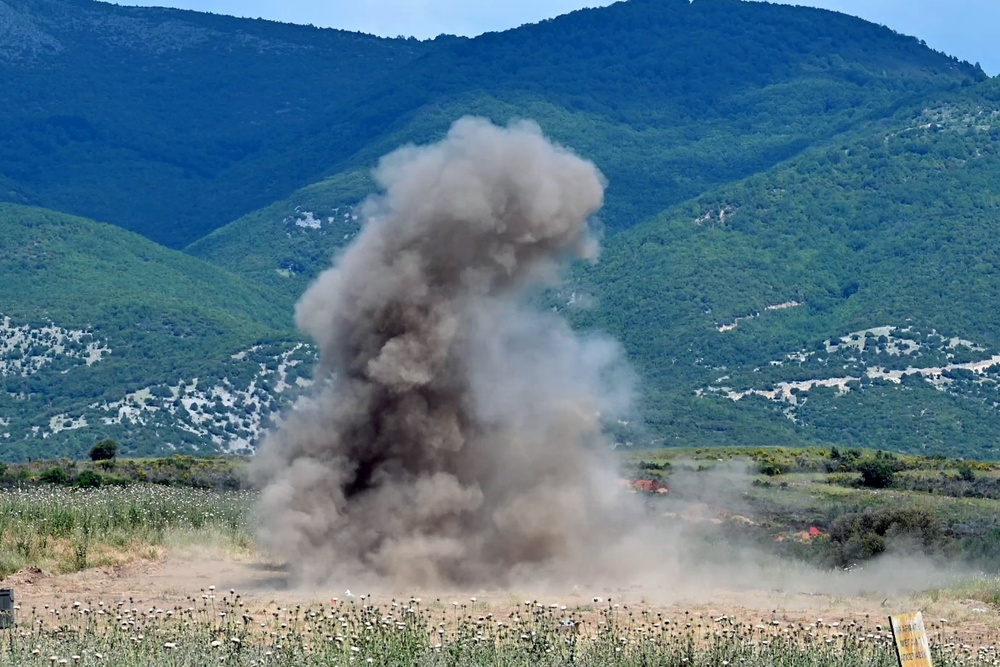 Immediate Response 25 - Petrochori, Greece