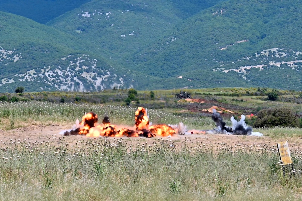 Immediate Response 25 - Petrochori, Greece
