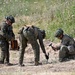 Immediate Response 25 - Petrochori, Greece