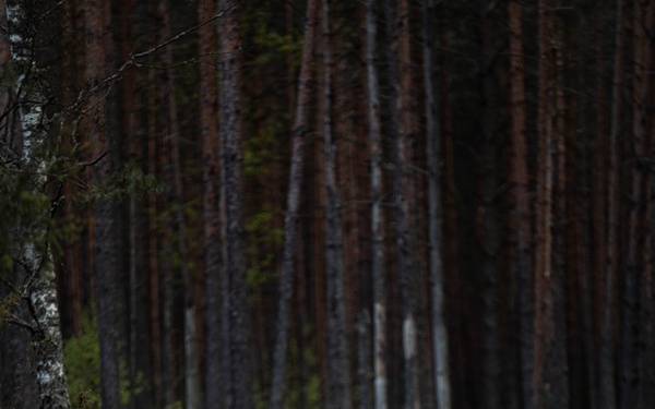 U.S. Special Operations Forces, NATO Allies Advance Cyber and Space  Capabilities in Swift Response 25