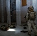 U.S. Special Operations Forces, NATO Allies Advance Cyber and Space  Capabilities in Swift Response 25