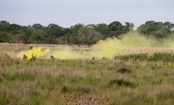 U.S. Soldiers Train With Greek Military at DEFENDER 25 [Image 2 of 10]