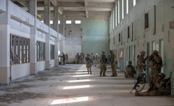 U.S. Soldiers Train With Greek Military at DEFENDER 25 [Image 8 of 10]
