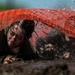 Travis AFB hosts Warrior Readiness Day