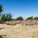 Travis AFB hosts Warrior Readiness Day