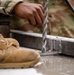 New Rocky the Bulldog Statues placed on Fort Stewart