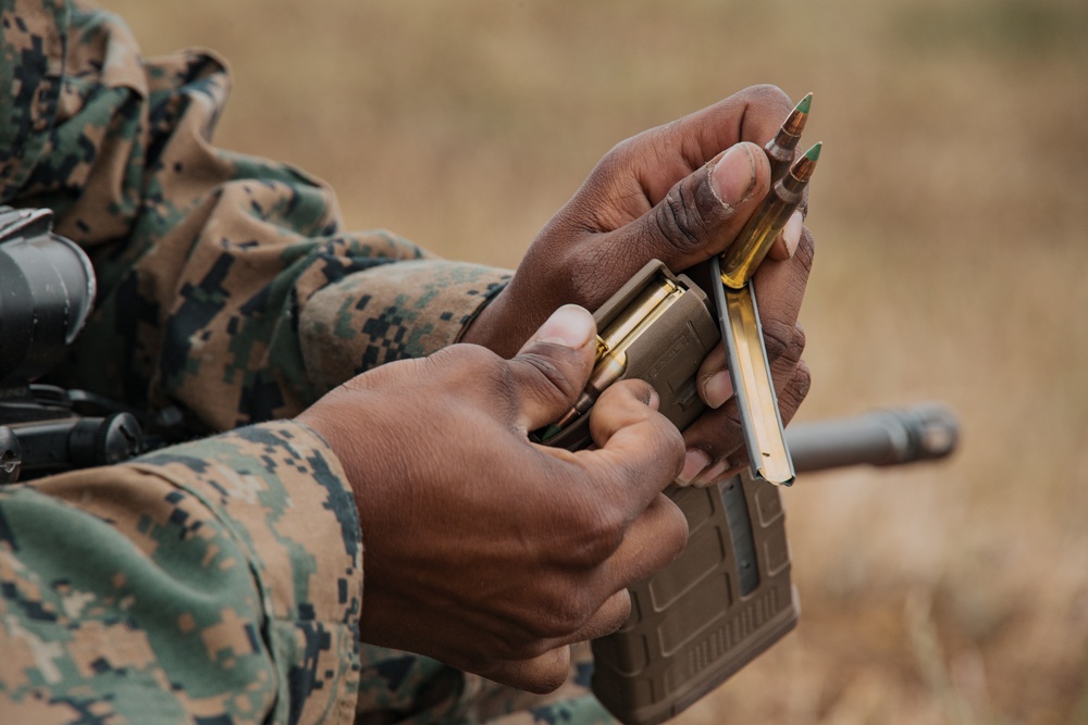 Lima Company Table One