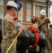 New Rocky the Bulldog Statues placed on Fort Stewart