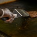Gaylor Dining Facility renovation brings upgraded experience to Joint Base Charleston